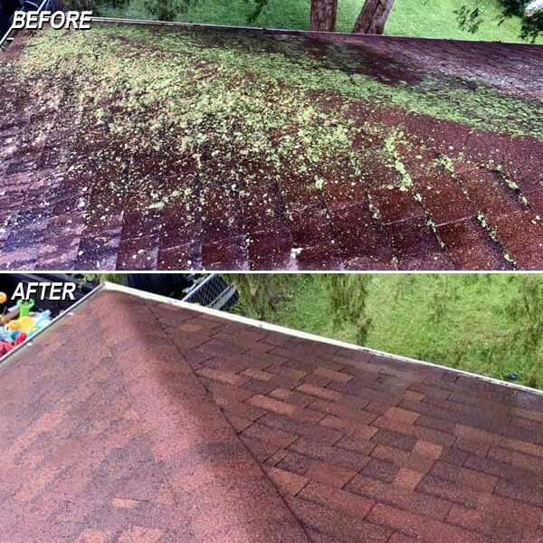 Roof Cleaning & Soft Washing IN